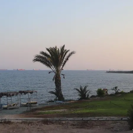 Domes At The אוהל מפואר Maroni